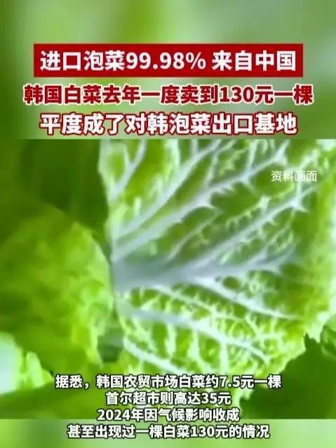 进口泡菜99.98% 来自中国,韩国白菜去年一度卖到130元一棵,平度成了对韩泡菜出口基地