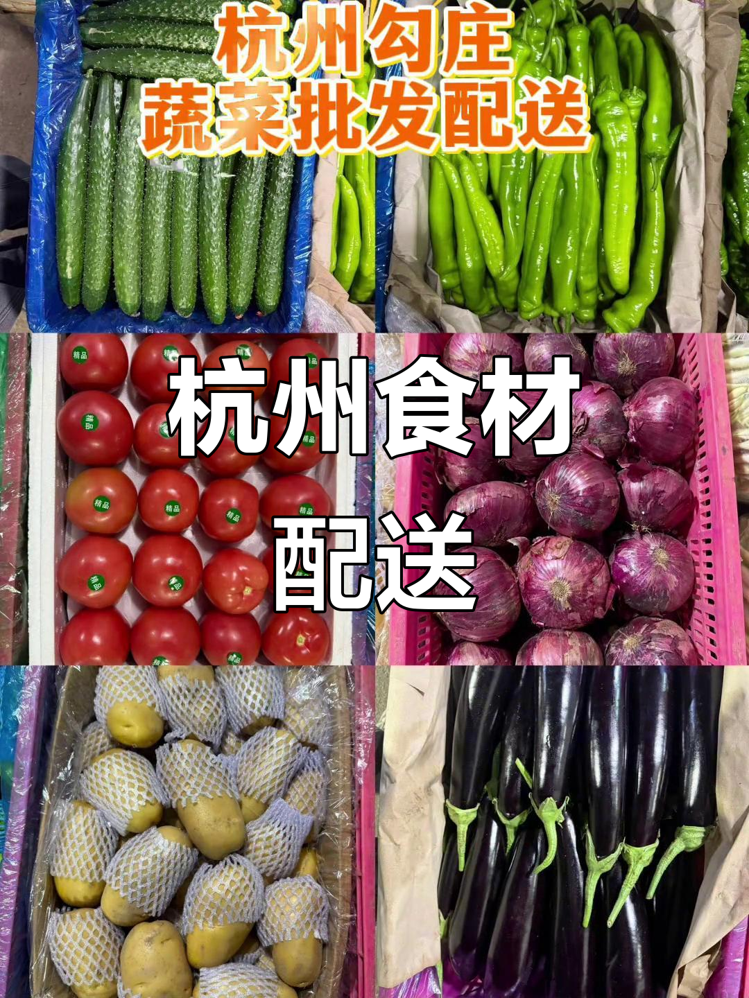 杭州蔬菜配送,涵盖各类食材,满足不同餐饮需求