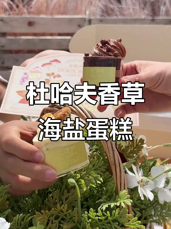 上海必试!杜哈夫香草海盐裸蛋糕,带你体验甜与咸的完美结合