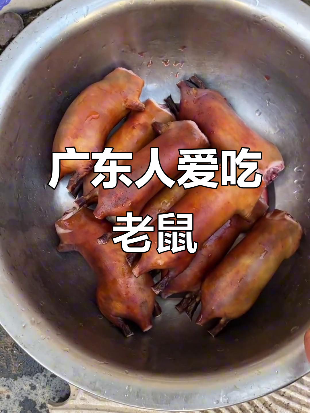 广东人敢吃老鼠,田鼠味道鲜美如羊肉