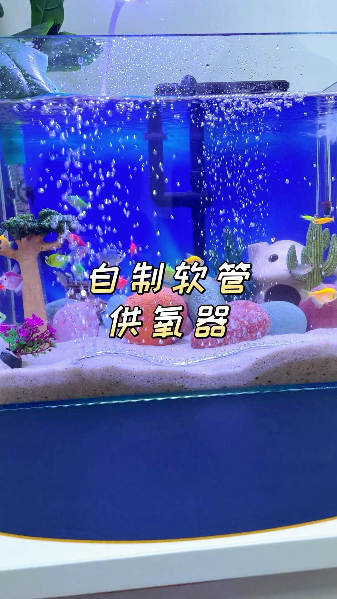 自制鱼缸软管增氧泵