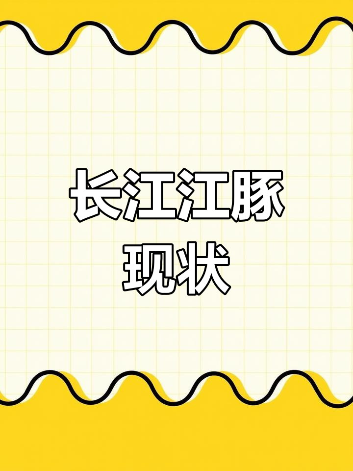 长江江豚:活泼可爱的淡水海豚,数量仅剩1249只