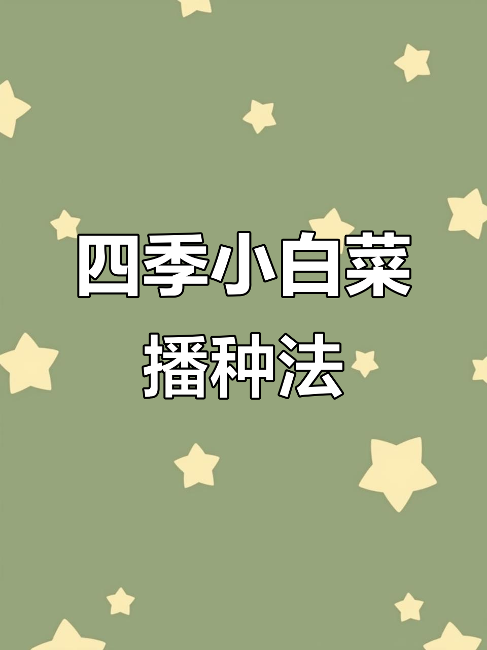 四季奶油小白菜种植技巧，轻松掌握播种方法