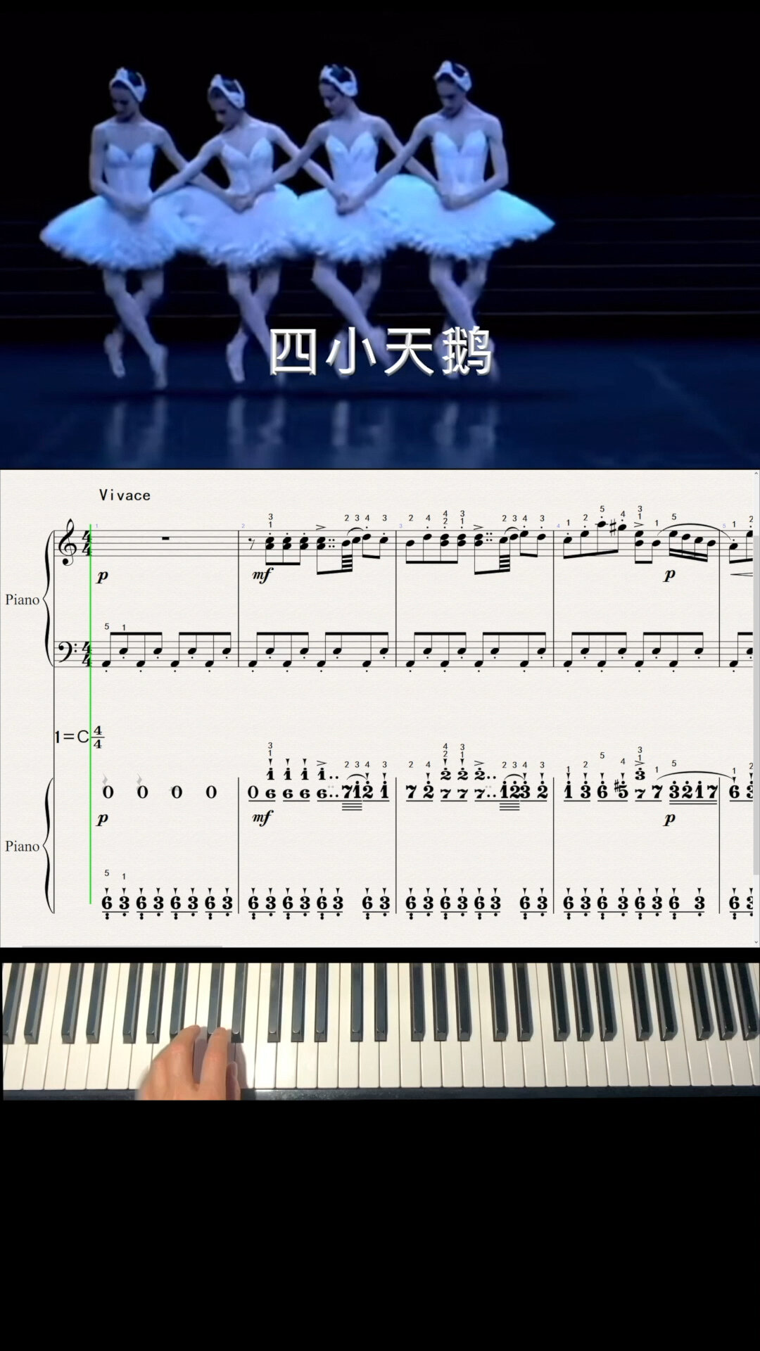 《四小天鹅》
