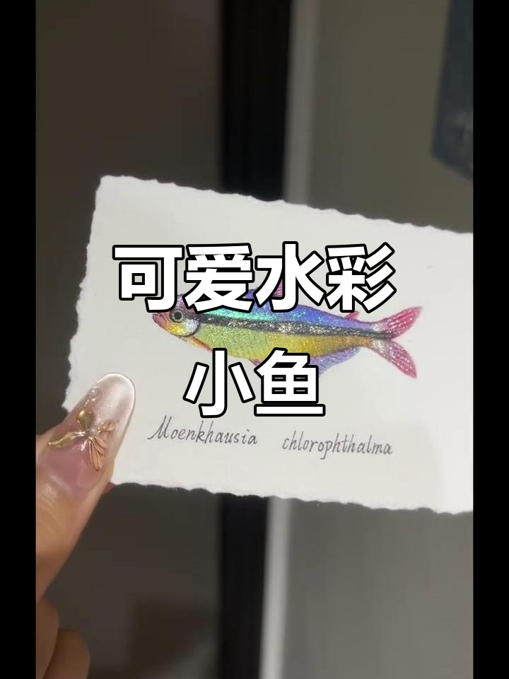 水彩小鱼轻松画,治愈心情超简单