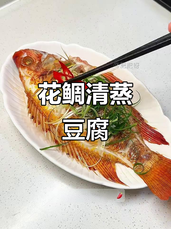 清蒸花鲷鱼配家常烧豆腐,简单又美味