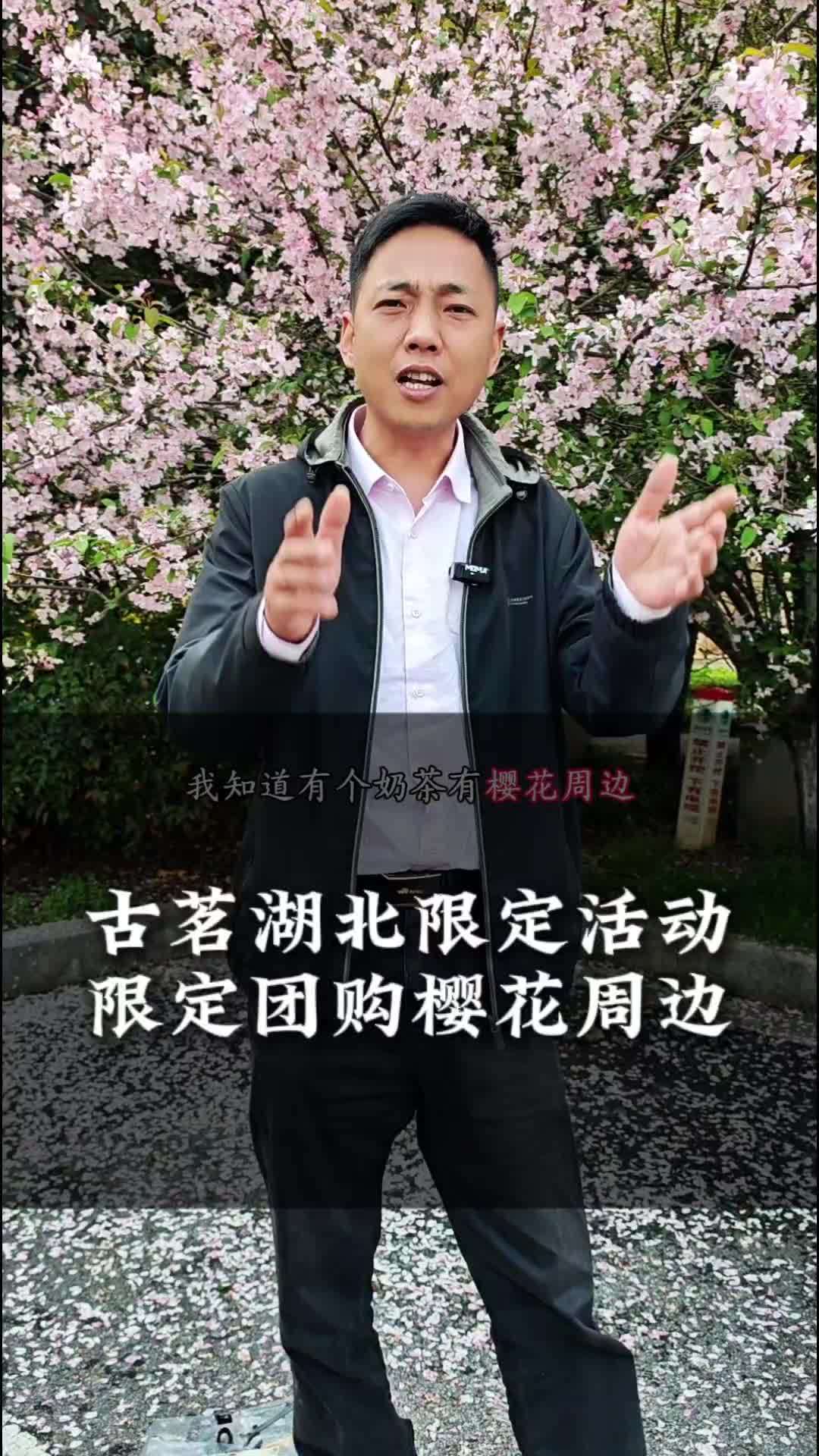 古茗新品 樱花季开始了,视频左下方团购即可!粉一个湖北 樱花周边 古茗奶茶 古茗