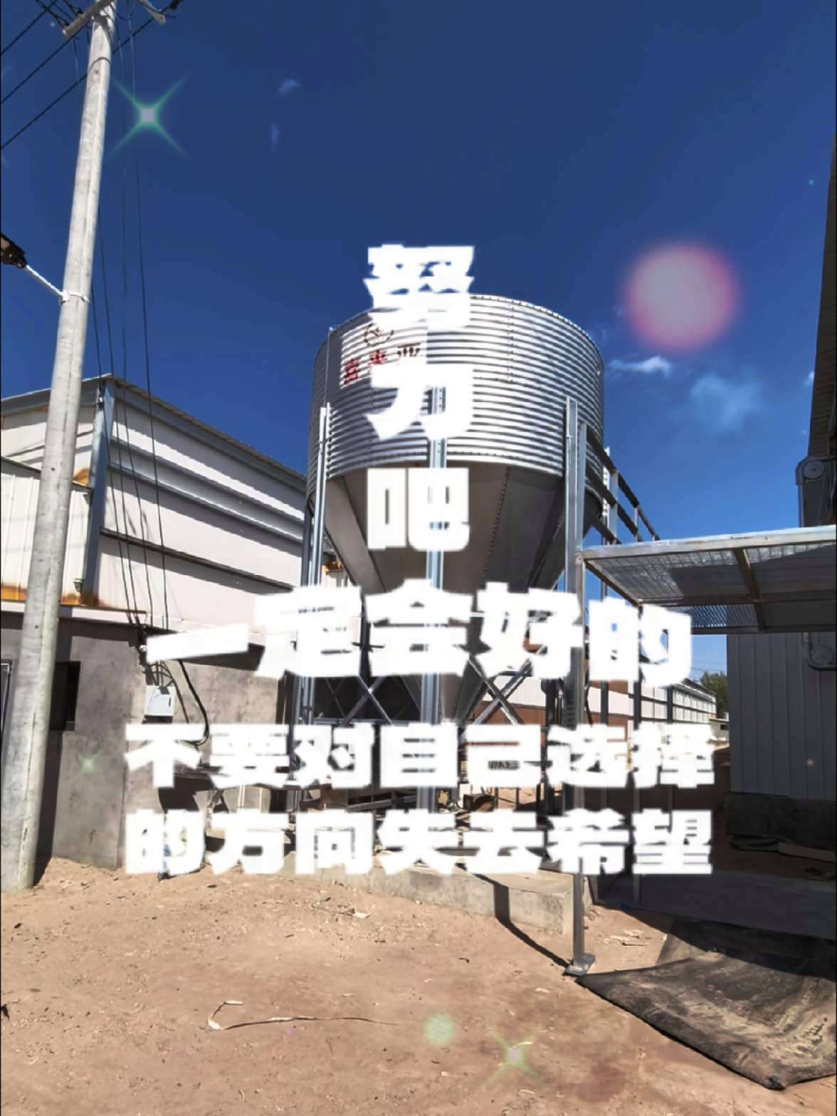 自动化养鸡设备。养鸡 raise chickens nui gà