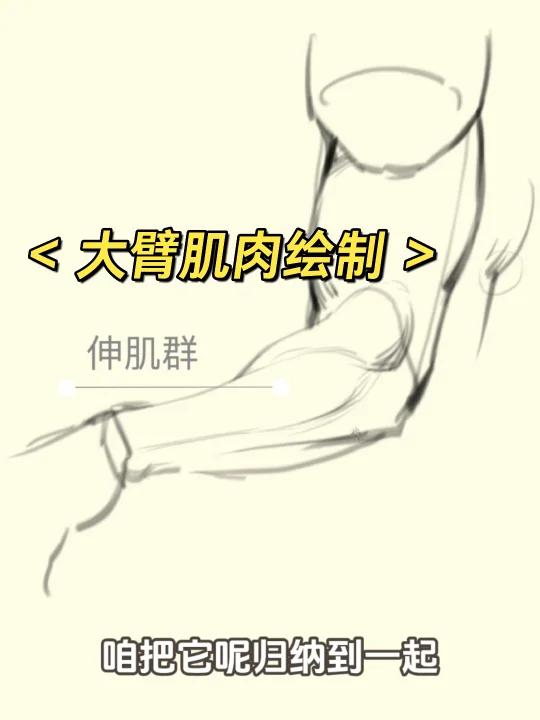 绘制真实:手臂肌肉的生动表现!