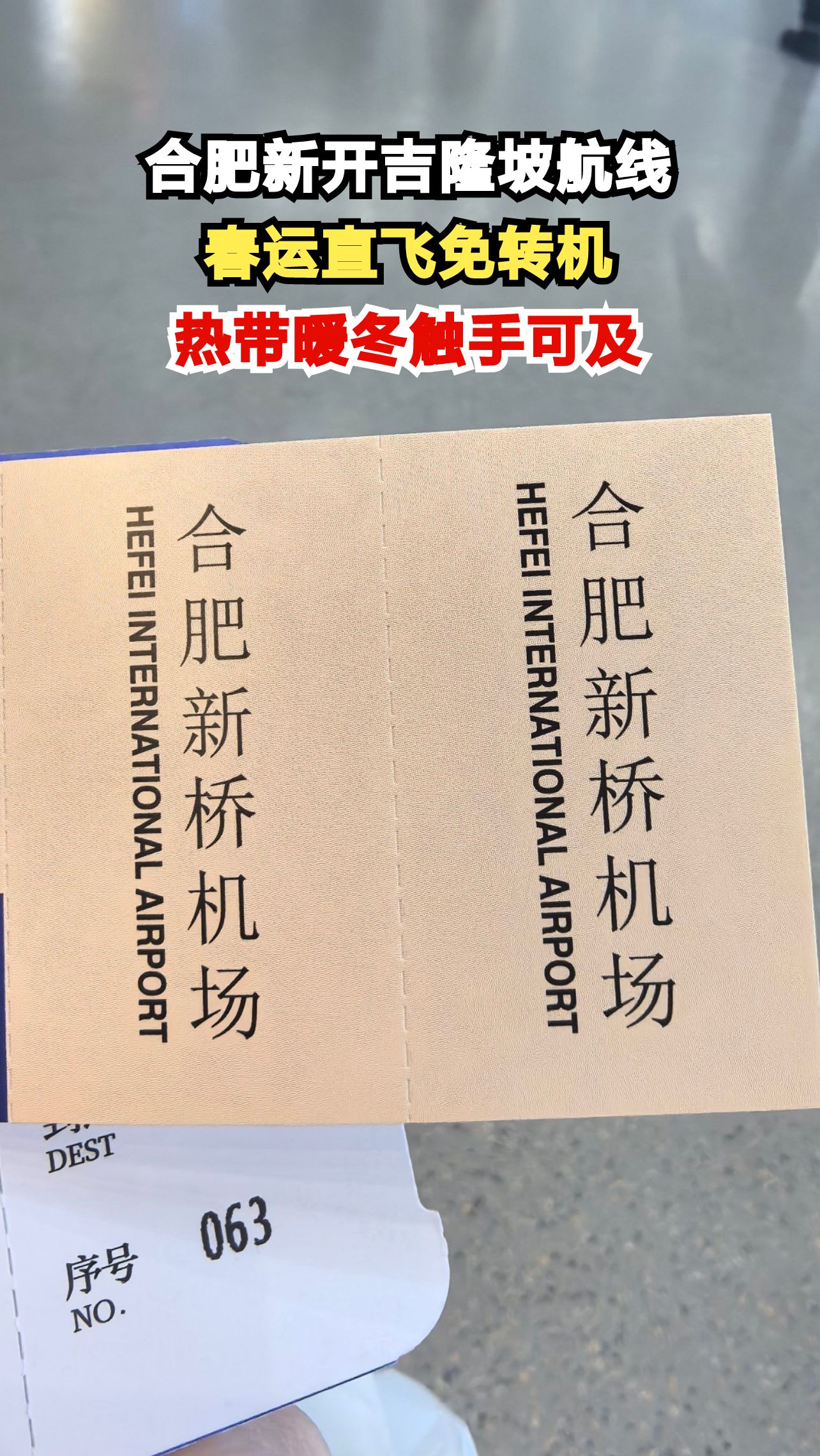合肥人春节出游新选择!直飞吉隆坡免签政策助力热带暖冬之旅