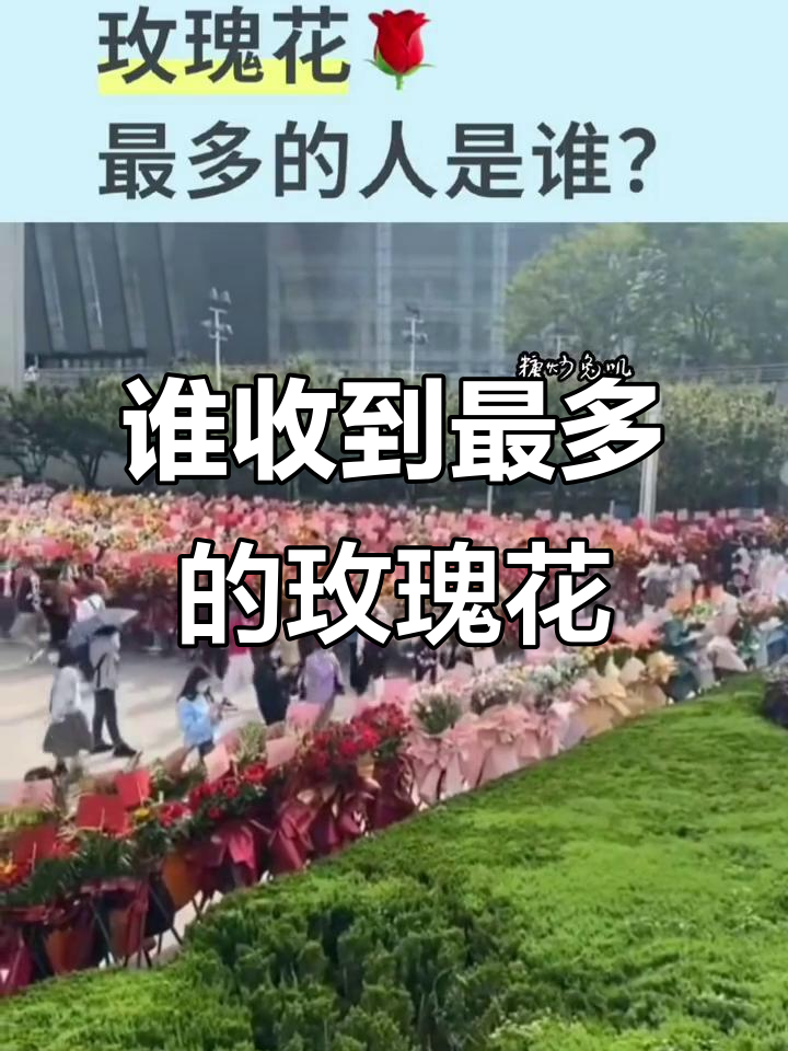 肖战为何成全球收玫瑰花最多的人?