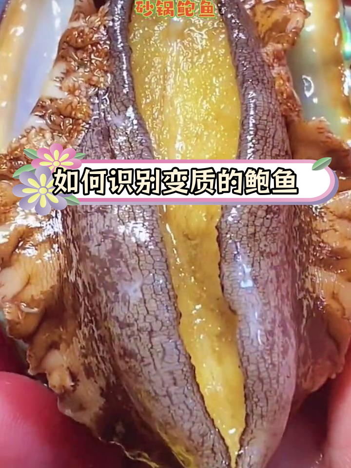鲍鱼变质判断标准,三要点需留意