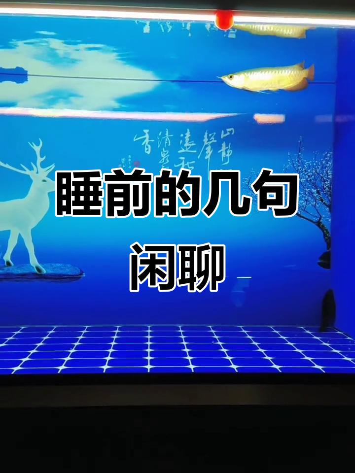 睡前一段话,解释清楚!三星四饿的鱼和我的小弟