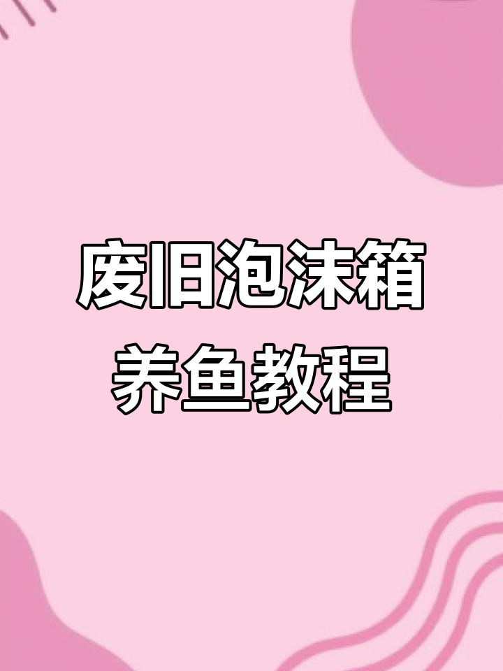 利用泡沫箱打造低成本观赏鱼缸，简单步骤教你轻松开缸