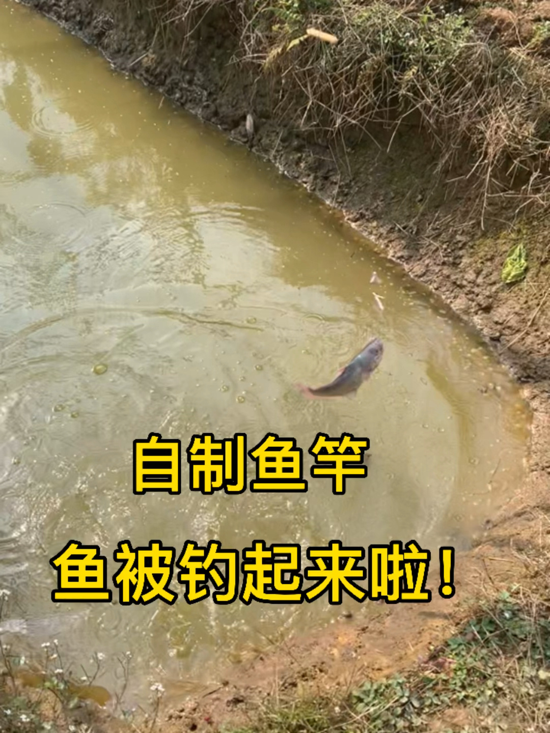 科学老师教你如何自制鱼竿