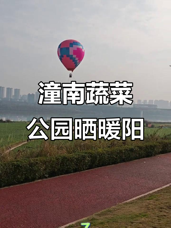 潼南蔬菜公园晒太阳，热气球试飞周末开启