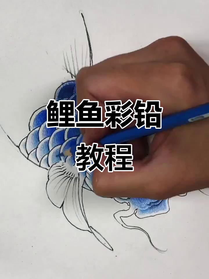 鲤鱼彩铅画法教学,纹身手稿绘制技巧分享