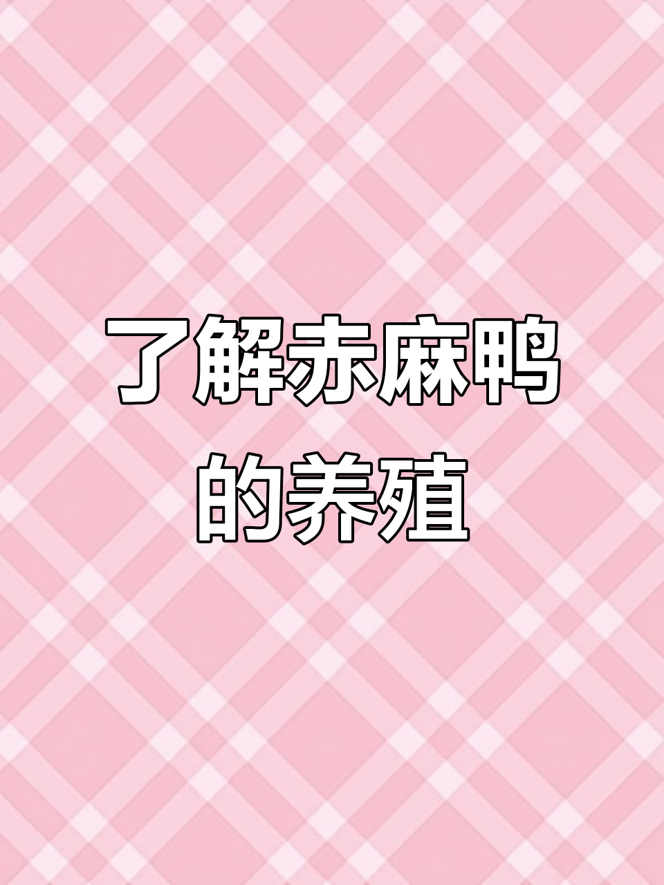 赤麻鸭养殖揭秘:公母辨别与繁殖习性