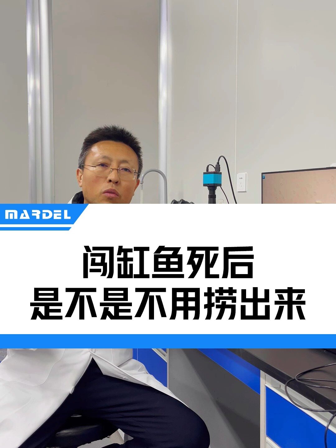闯缸鱼死后是不是不用捞出来?