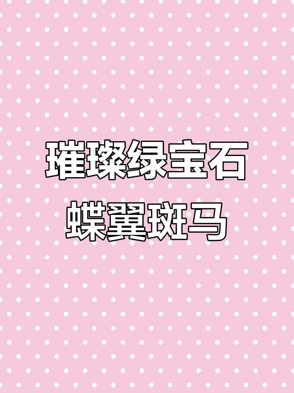 蝶翼斑马鱼:绿宝石般的梦幻之美,游动如凤凰般优雅