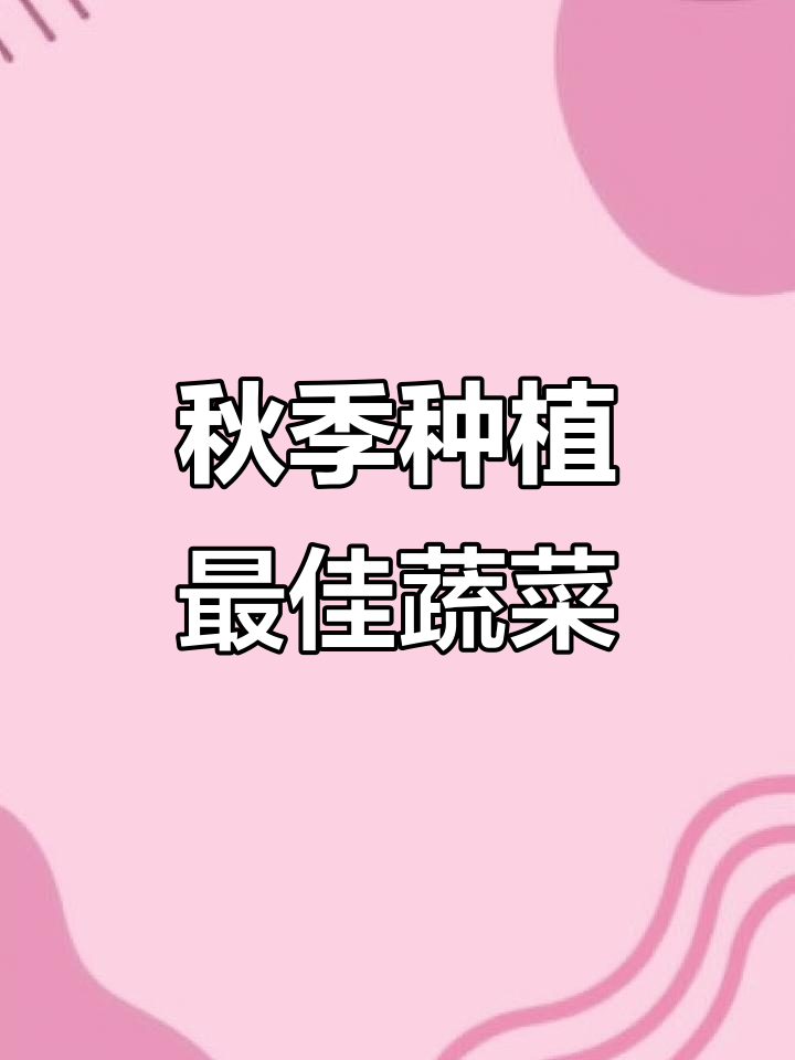 中秋后种什么菜最合适?这些蔬菜生长快,耐寒性强