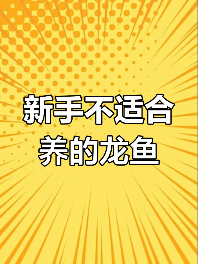 龙鱼品种解析:新手必避的星点龙