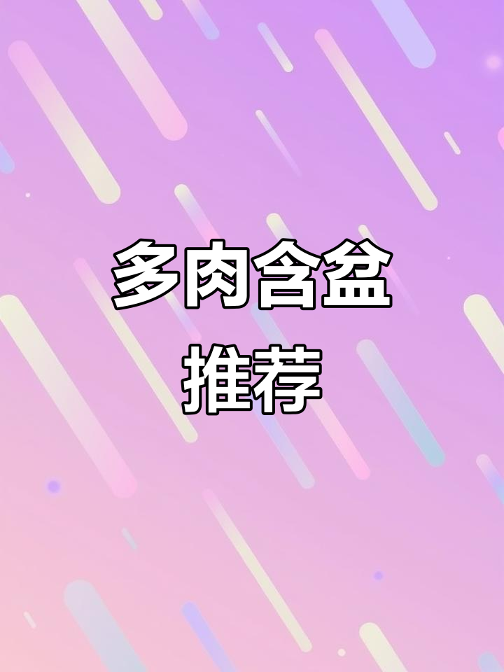 韩盆种多肉,透气性好到爆!昂斯诺满盆绿植超美