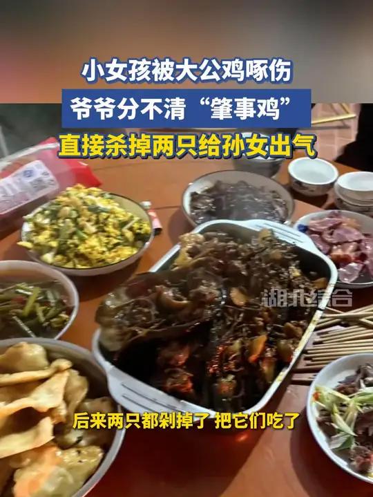 女孩被大公鸡啄伤，爷爷分不清“肇事鸡”直接杀掉两只给孙女出气