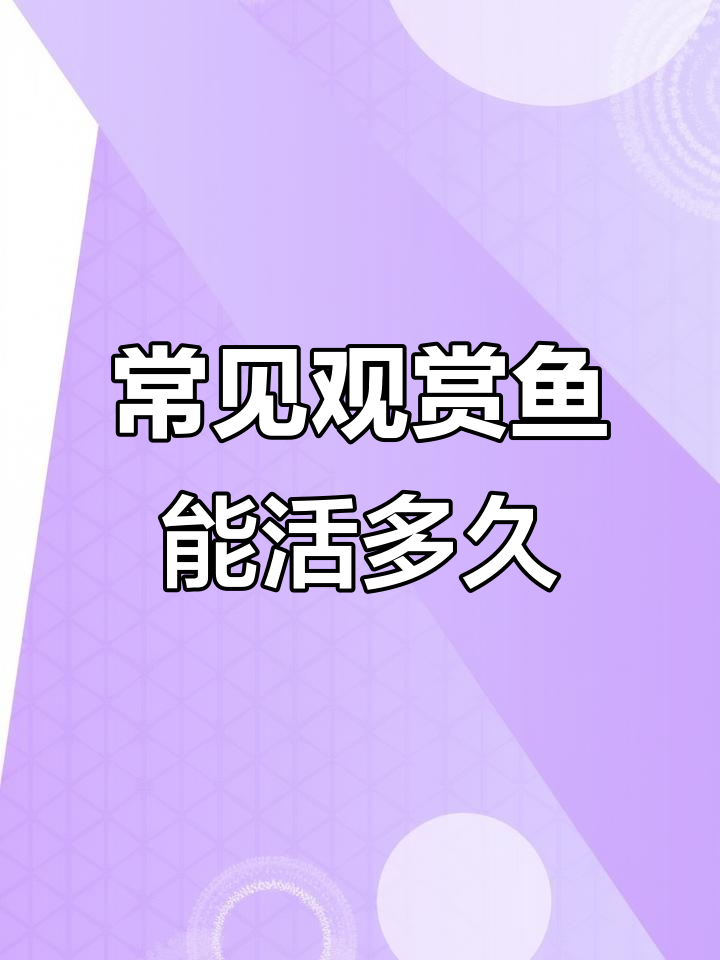 常见观赏鱼寿命大揭秘,孔雀到龙鱼的生存期限