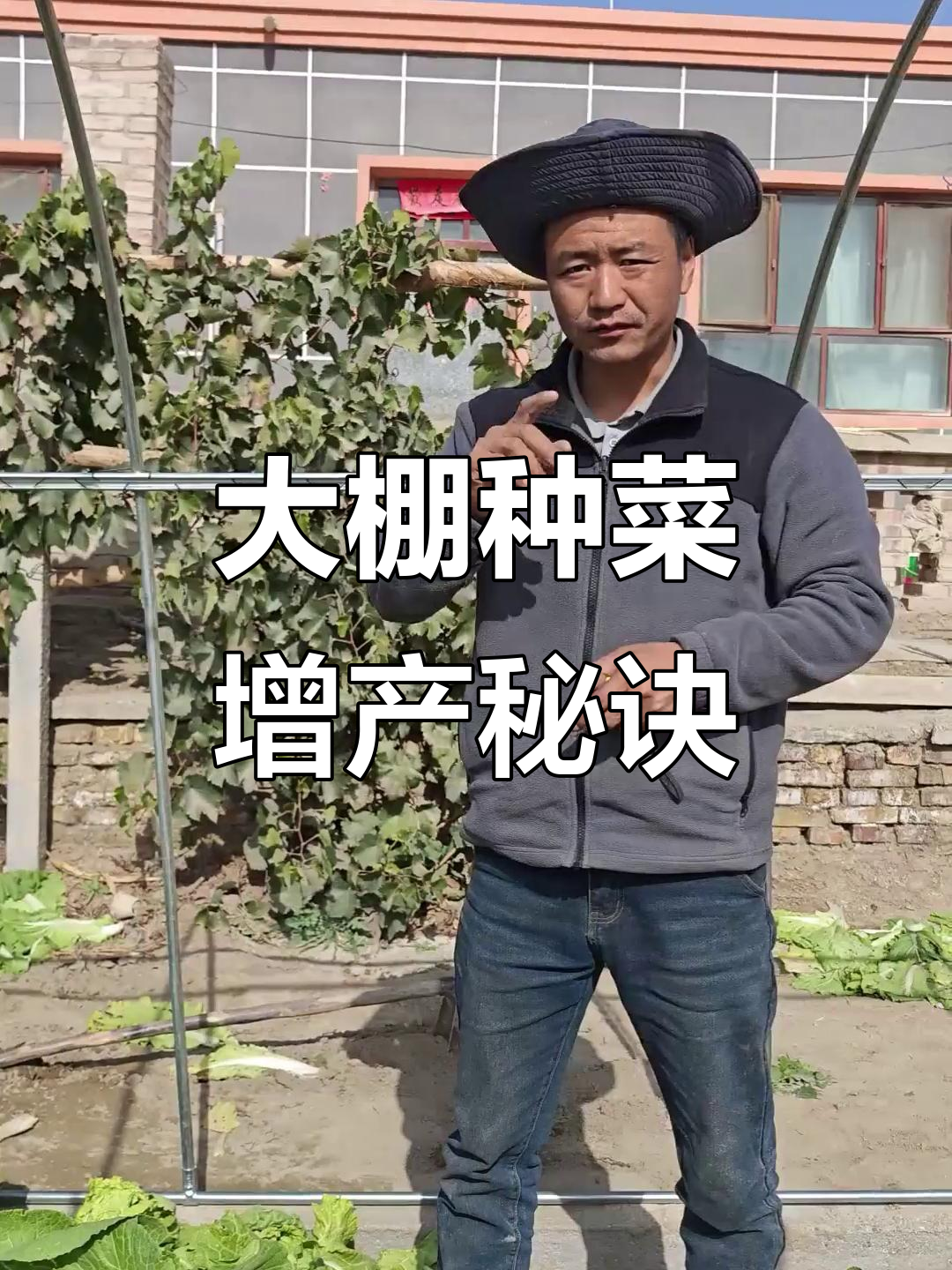 冬季大棚蔬菜种植技巧,教你如何提高产量