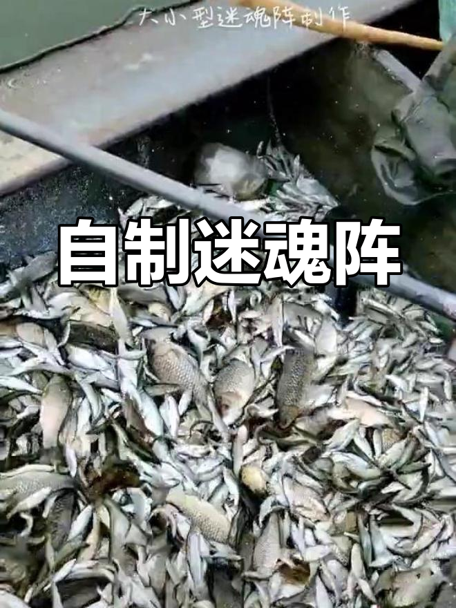 渔民自制迷魂阵捕鱼技巧