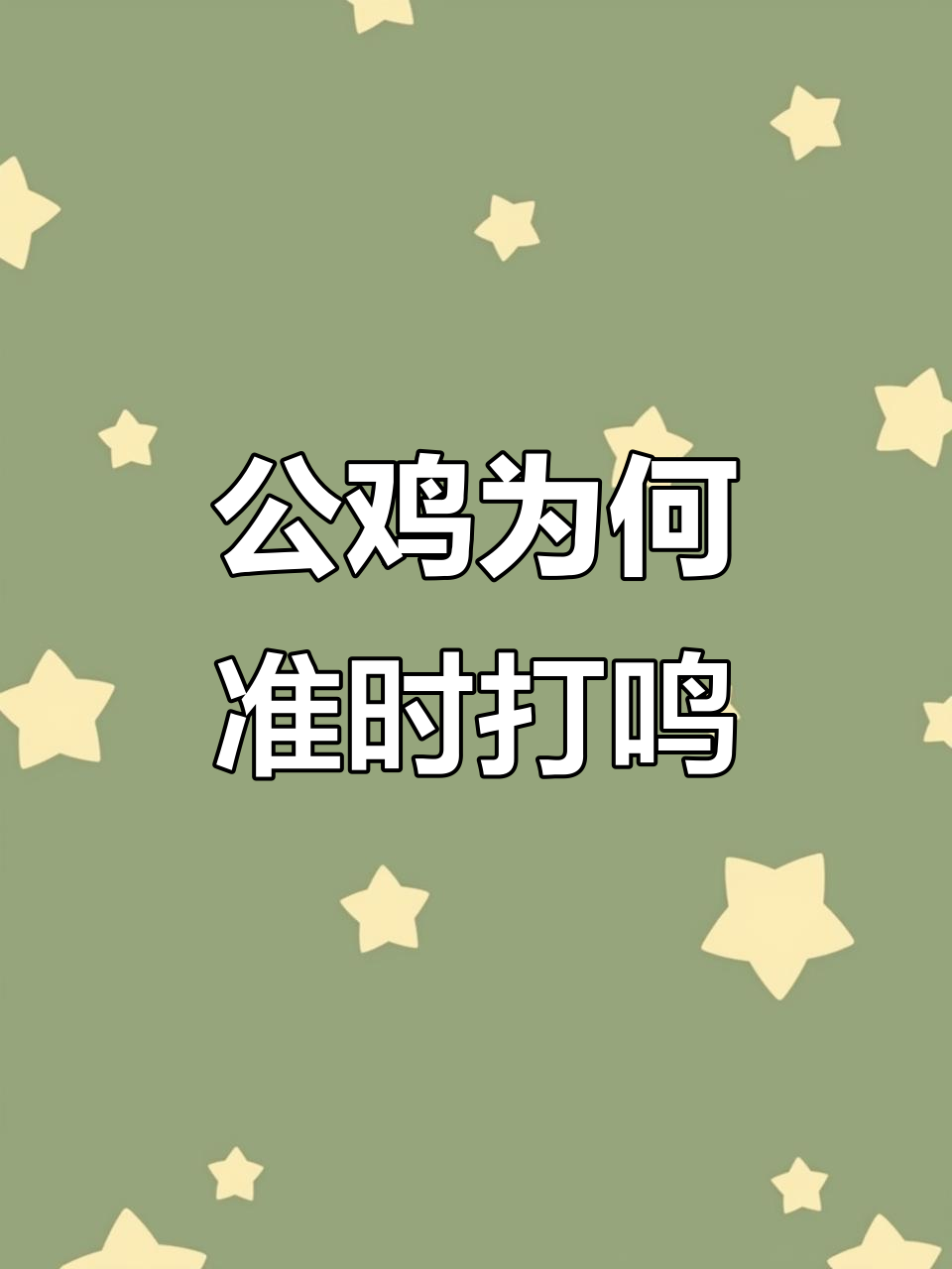 公鸡打鸣的秘密：生物钟、主权宣告与雄激素的影响