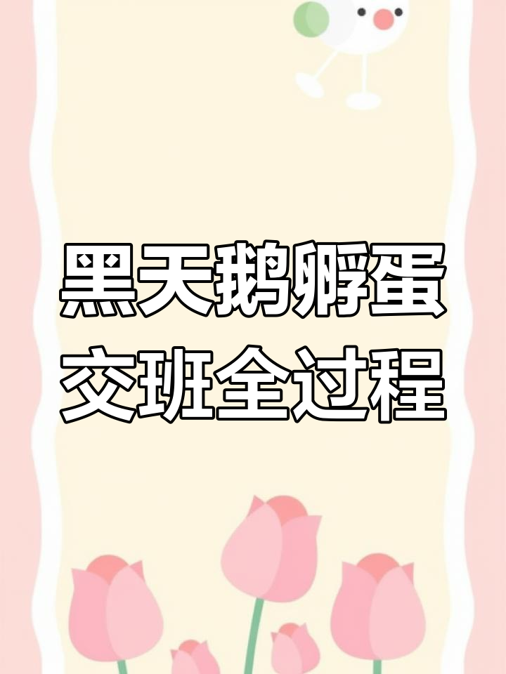 天津水上公园黑天鹅孵蛋换岗,四棱子母鹅辛苦孵化过程揭秘