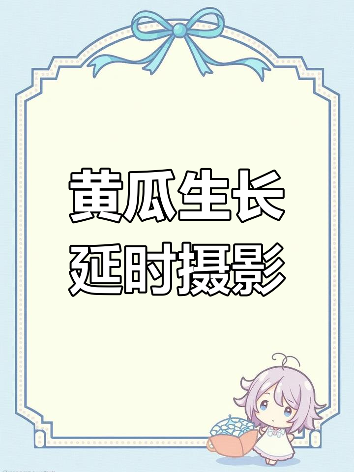 60天拍摄黄瓜生长过程,700GB照片换来一分钟视频