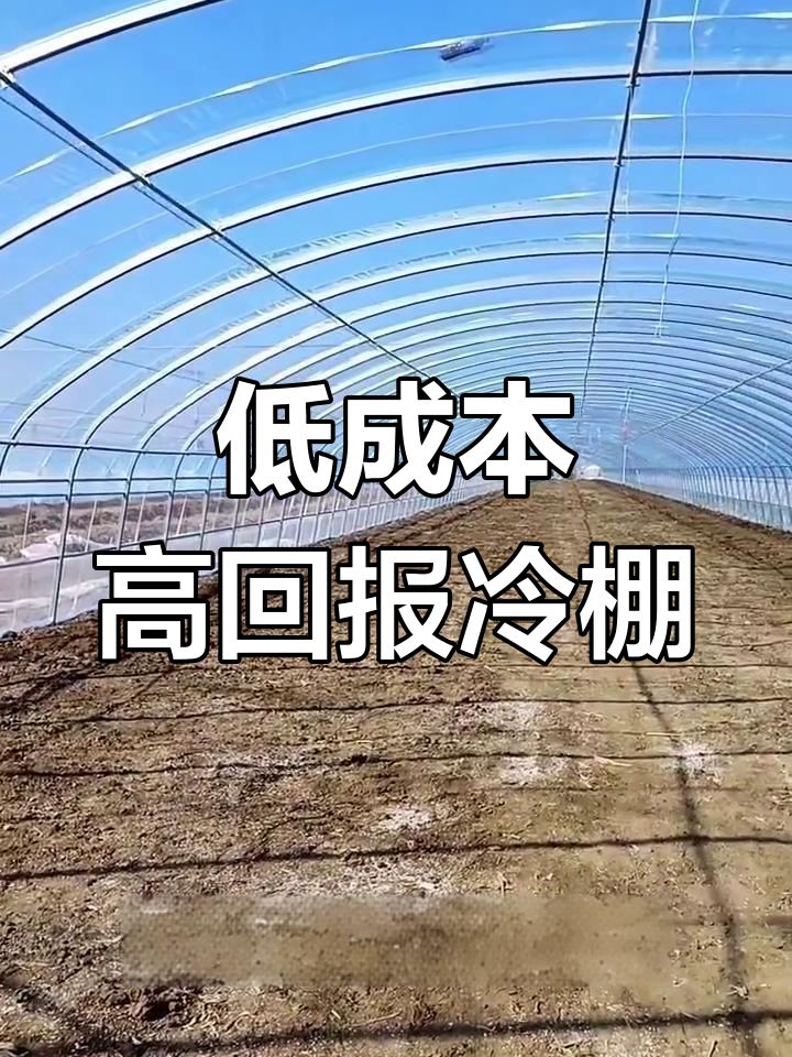 高效蔬菜大棚设计方案