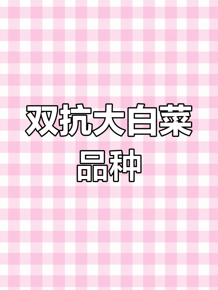 抗病高产大白菜品种推荐