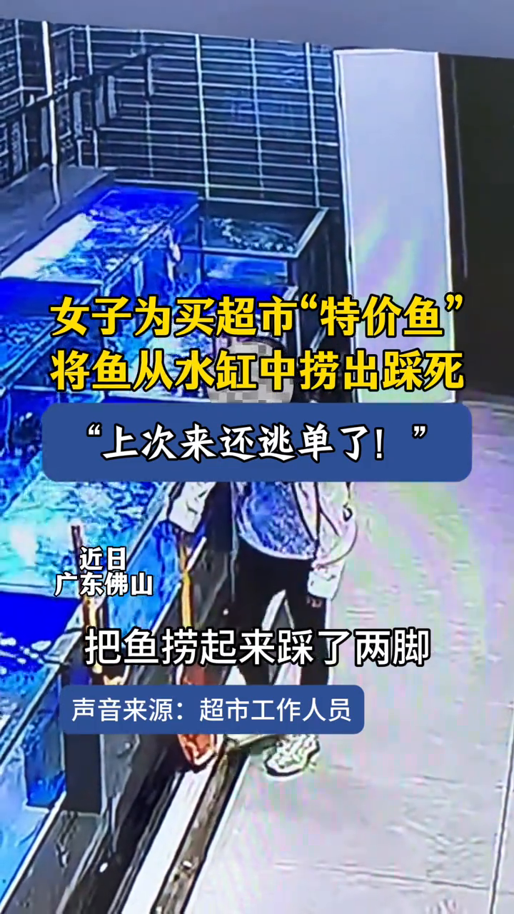 女子为买超市“特价鱼”,将鱼从水缸中捞出踩死