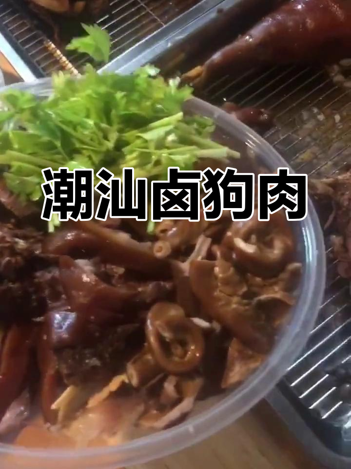 潮汕荔枝狗肉节:以毒攻毒的独特美味