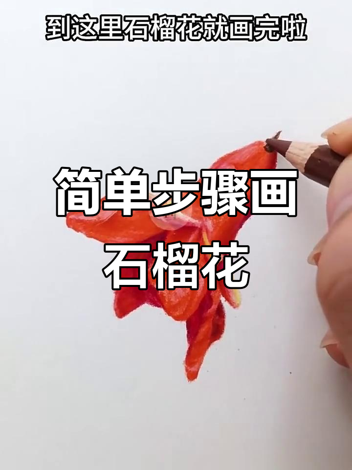 石榴花彩铅教程，轻松画出美丽花朵