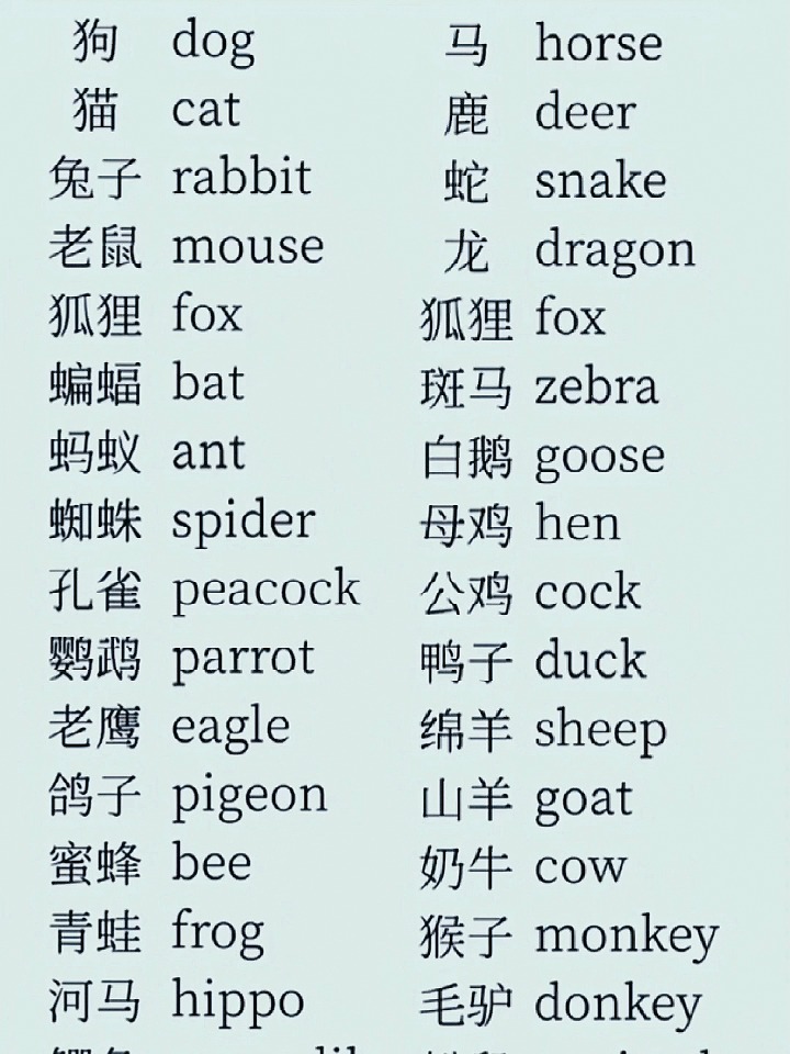 分享英语—动物英文单词,建议收藏练习
