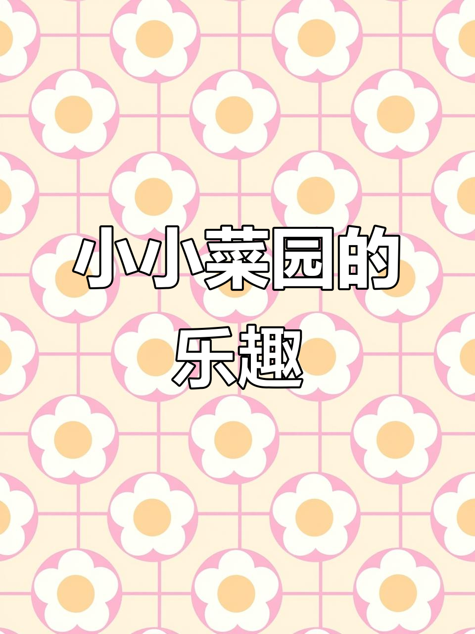 菜园里的秘密,蔬菜们的成长故事