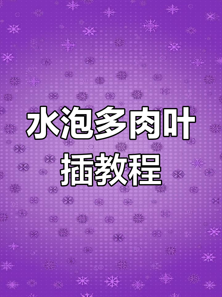 叶插水泡多肉技巧,新手必看!