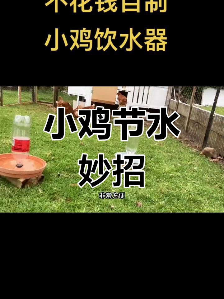 教你轻松制作低成本小鸡饮水器,省钱又实用!