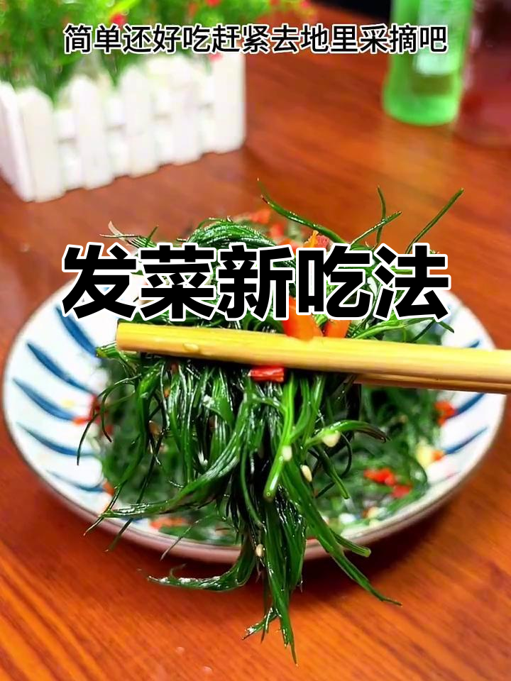 发菜凉拌,口感独特,赶紧试试!