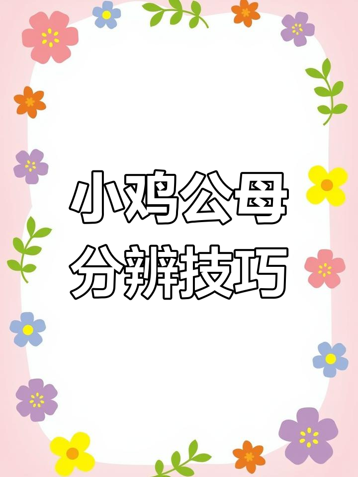 公母小鸡翅膀辨别法,简单又高效