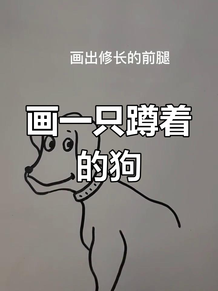 简笔画教程:绘制蹲坐的狗