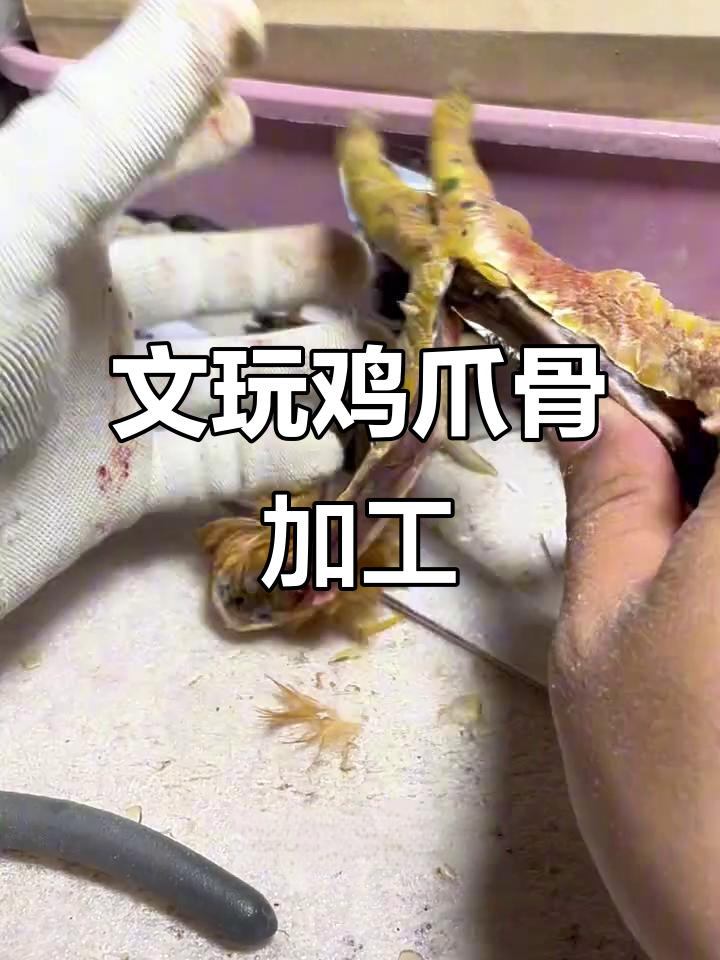 手工打造文玩鸡凳子，冷公鸡腿骨处理全过程