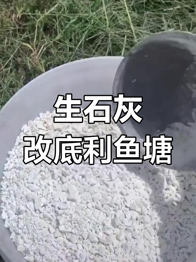 低温下生石灰助力改善池塘环境