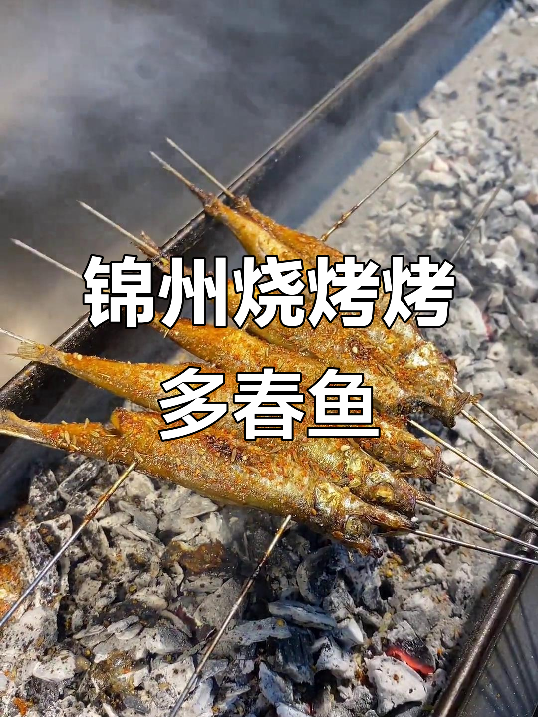 锦州烧烤秘制烤多春鱼，外焦里嫩，辣味十足
