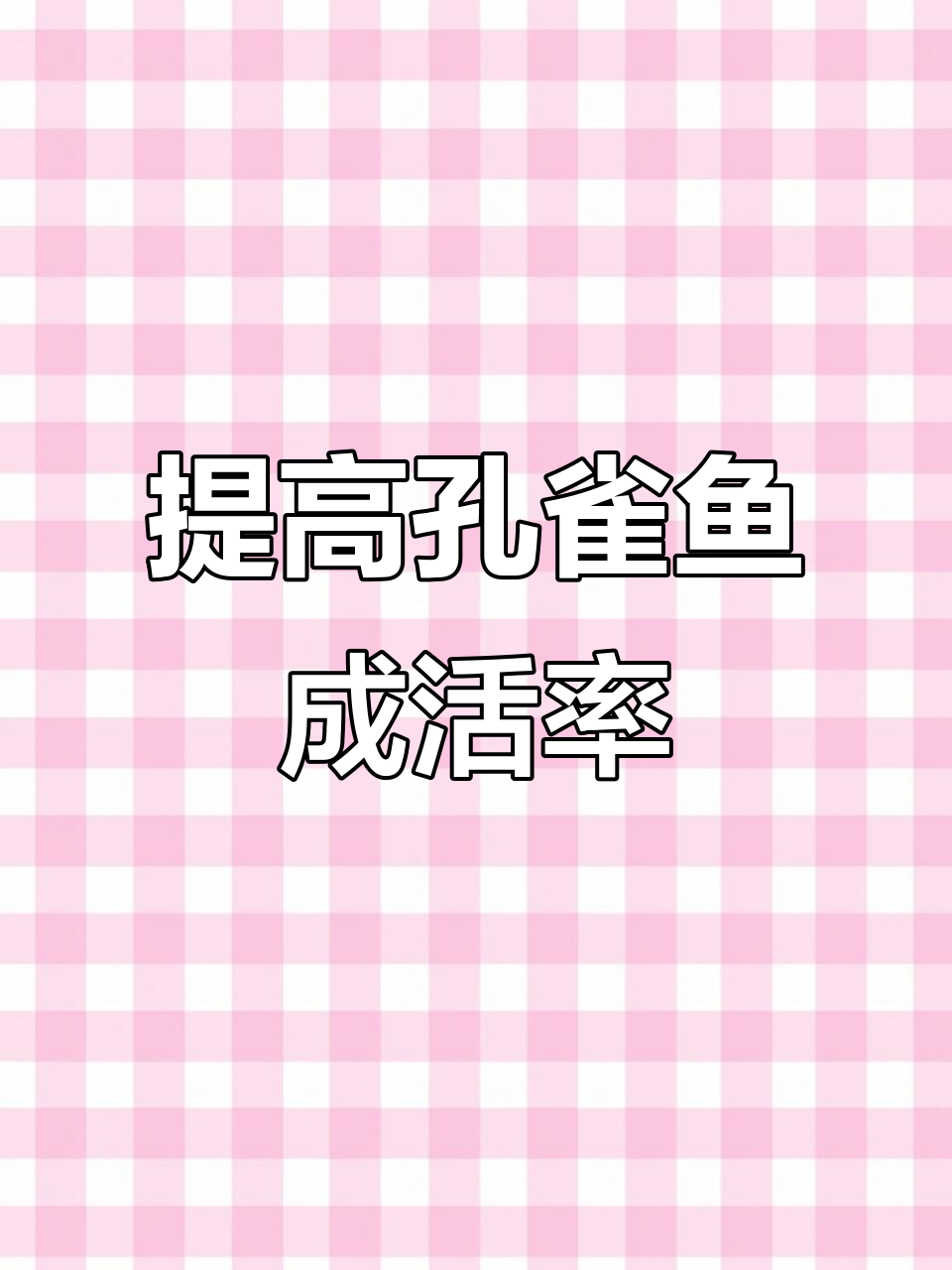 孔雀鱼繁殖小技巧,提高成活率轻松搞定